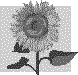 Sunflower Sprite.gif (2084 bytes)