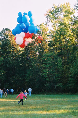 ny_38.jpg (50265 bytes)