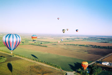 Flight 01.jpg (19166 bytes)